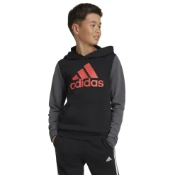 Discount Felpa bambino con cappuccio Essentials Big Logo Colorblock Bambino Abbigliamento Adidas|Felpe Bambino