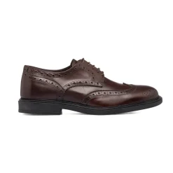 Outlet Stringate eleganti derby marroni da uomo in pelle con dettagli brogue Uomo Scarpe Eleganti Uomo|Scarpe Cerimonia Uomo