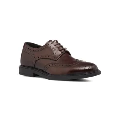 Outlet Stringate eleganti derby marroni da uomo in pelle con dettagli brogue Uomo Scarpe Eleganti Uomo|Scarpe Cerimonia Uomo