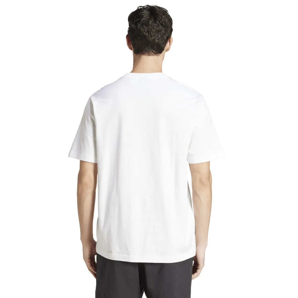 New T-shirt bianca da Uomo in cotone con logo Uomo Abbigliamento Adidas|T-Shirt Uomo